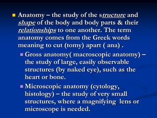 Anatomy – the study of the structure and
shape of the body and body parts & their
relationships to one another. The term
anatomy comes from the Greek words
meaning to cut (tomy) apart ( ana) .
 Gross anatomy( macroscopic anatomy) –
the study of large, easily observable
structures (by naked eye), such as the
heart or bone.
 Microscopic anatomy (cytology,
histology) – the study of very small
structures, where a magnifying lens or
microscope is needed.
 