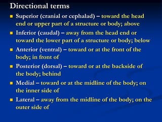 Introduction-of-Anatomy and Physiology.ppt