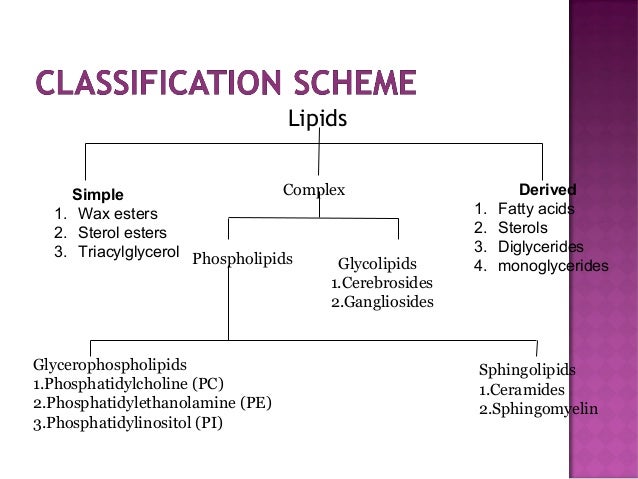Introduction Of Lipids