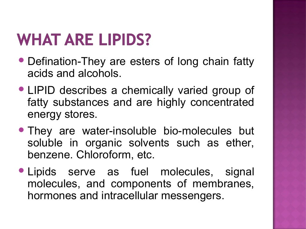 introduction for lipids essay