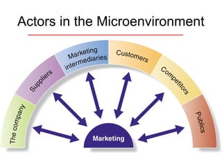 Actors in the Microenvironment
 