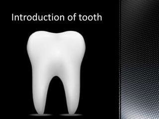 Introduction of tooth
 