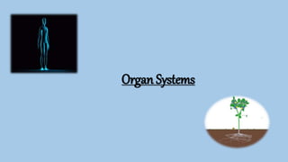 Organ Systems
 