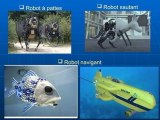  Robot à pattes  Robot sautant
 Robot navigant
 