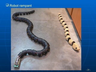 - 25 -
 Robot rampant
 