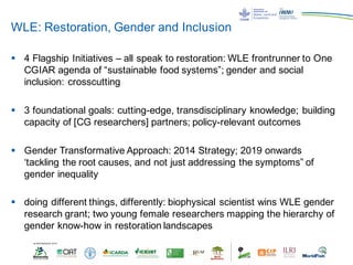 WLE: Restoration, Gender and Inclusion
§ 4 Flagship Initiatives – all speak to restoration: WLE frontrunner to One
CGIAR agenda of “sustainable food systems”; gender and social
inclusion: crosscutting
§ 3 foundational goals: cutting-edge, transdisciplinary knowledge; building
capacity of [CG researchers] partners; policy-relevant outcomes
§ Gender Transformative Approach: 2014 Strategy; 2019 onwards
‘tackling the root causes, and not just addressing the symptoms” of
gender inequality
§ doing different things, differently: biophysical scientist wins WLE gender
research grant; two young female researchers mapping the hierarchy of
gender know-how in restoration landscapes
 