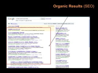 Organic Results (SEO)
 