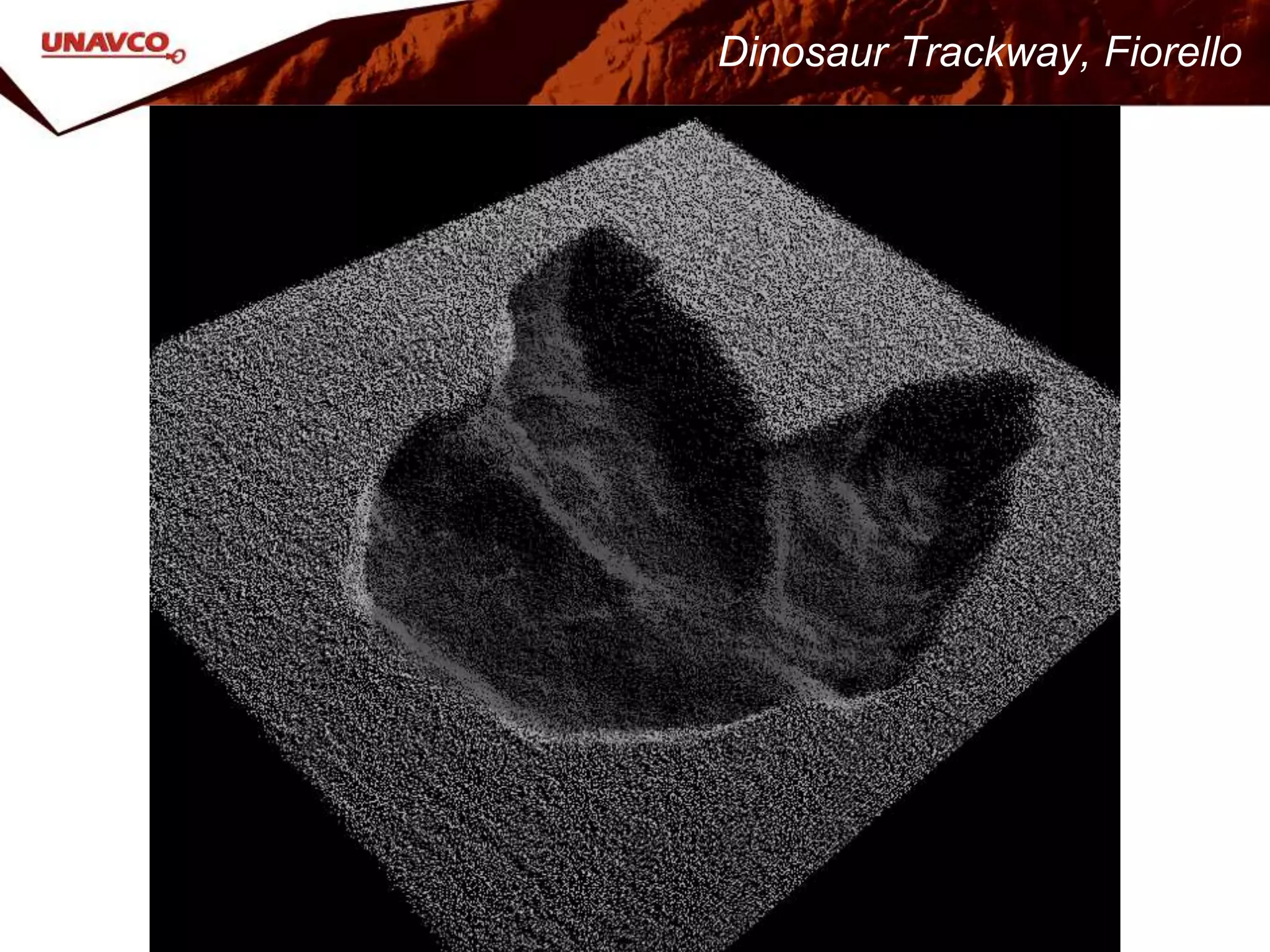 Dinosaur Trackway, Fiorello
 