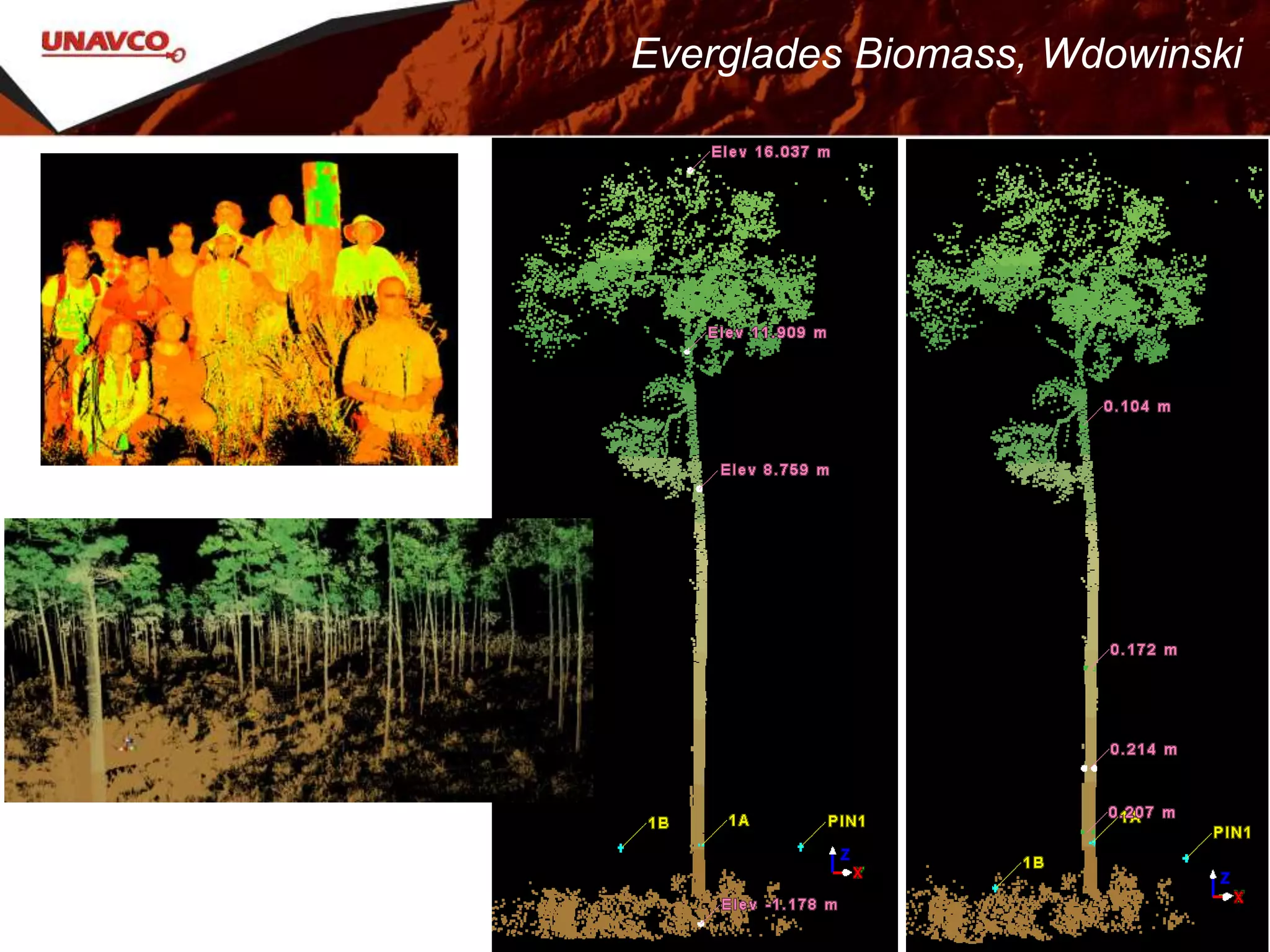 Everglades Biomass, Wdowinski
 