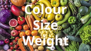 Colour
Size
Weight
 