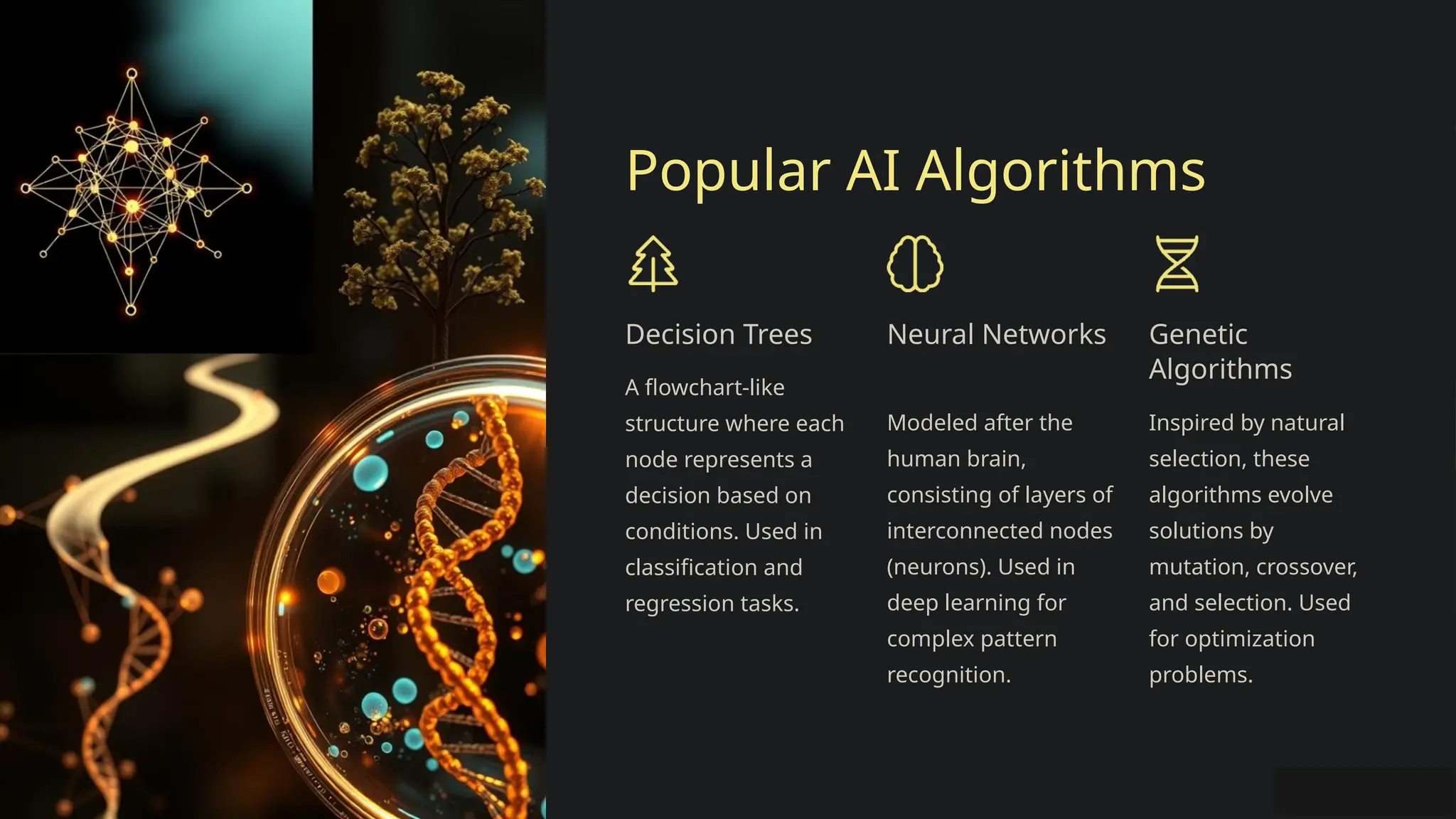 Popular AI Algorithms
Decision Trees
A flowchart-like
structure where each
node represents a
decision based on
conditions. Used in
classification and
regression tasks.
Neural Networks
Modeled after the
human brain,
consisting of layers of
interconnected nodes
(neurons). Used in
deep learning for
complex pattern
recognition.
Genetic
Algorithms
Inspired by natural
selection, these
algorithms evolve
solutions by
mutation, crossover,
and selection. Used
for optimization
problems.
 