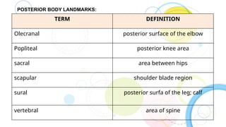 INTRODUCTION-TO-ANATOMY INTRODUCTION TO ANATOMY | PPTX