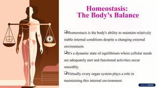 Homeostasis:
The Body's Balance
Homeostasis is the body's ability to maintain relatively
stable internal conditions despite a changing external
environment.
It's a dynamic state of equilibrium where cellular needs
are adequately met and functional activities occur
smoothly.
Virtually every organ system plays a role in
maintaining this internal environment.
 