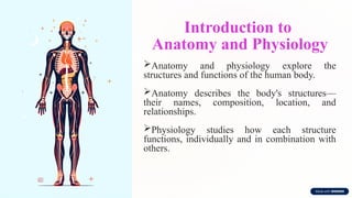 Introduction to
Anatomy and Physiology
Anatomy and physiology explore the
structures and functions of the human body.
Anatomy describes the body's structures—
their names, composition, location, and
relationships.
Physiology studies how each structure
functions, individually and in combination with
others.
 