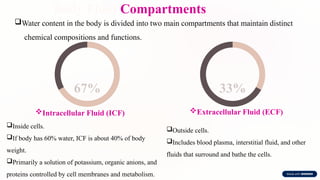 Body Fluid Compartments
Water content in the body is divided into two main compartments that maintain distinct
chemical compositions and functions.
67%
Intracellular Fluid (ICF)
Inside cells.
If body has 60% water, ICF is about 40% of body
weight.
Primarily a solution of potassium, organic anions, and
proteins controlled by cell membranes and metabolism.
33%
Extracellular Fluid (ECF)
Outside cells.
Includes blood plasma, interstitial fluid, and other
fluids that surround and bathe the cells.
 
