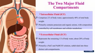 The Two Major Fluid
Compartments
Intracellular Fluid (ICF)
 Comprises 2/3 of body water, approximately 40% of total body
weight.
 Primarily contains potassium and organic anions, with composition
controlled by cell membranes and cellular metabolism.
Extracellular Fluid (ECF)
 Represents the remaining 1/3 of body water, about 20% of body
weight.
 Primarily a NaCl and NaHCO3 solution, subdivided into three
distinct sub-compartments.
 