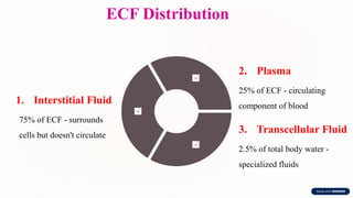 ECF Distribution
1. Interstitial Fluid
75% of ECF - surrounds
cells but doesn't circulate
2. Plasma
25% of ECF - circulating
component of blood
3. Transcellular Fluid
2.5% of total body water -
specialized fluids
 