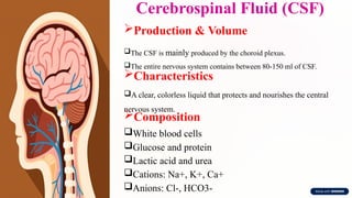 Introduction-to-Anatomy-and-Physiology.pptx