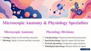 Microscopic Anatomy & Physiology Specialties
Microscopic Anatomy
• Cytology: Study of cells and their structures
• Histology: Study of tissues and their structures
Physiology Divisions
• Cell physiology: Chemical and molecular processes
• Special physiology: Specific organs like the heart
• Systemic physiology: Cooperative organ functions
• Pathological physiology: Disease effects on organs
 