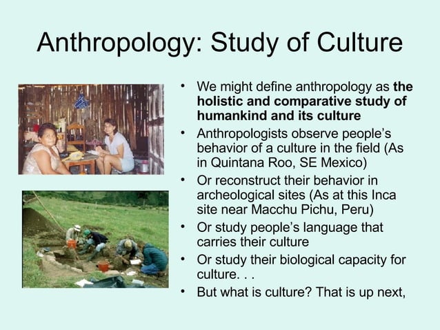 Introduction To Anthropology PPT introduction-to-anthropology-ppt