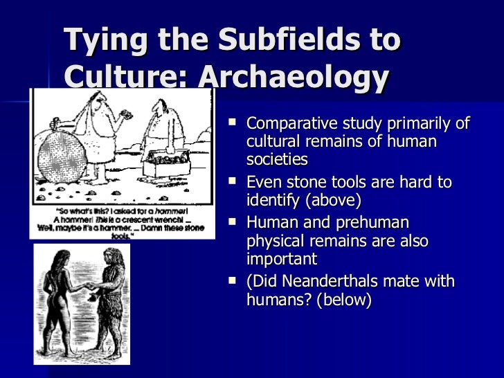 introduction to anthropology Anthropology courses at ramapo are concentrated in cultural anthropology, the sub-discipline of anth 102 - introduction to anthropology. introduction to anthropology Anthropology courses at ramapo are concentrated in cultural anthropology, the sub-discipline of anth 102 - introduction to anthropology.