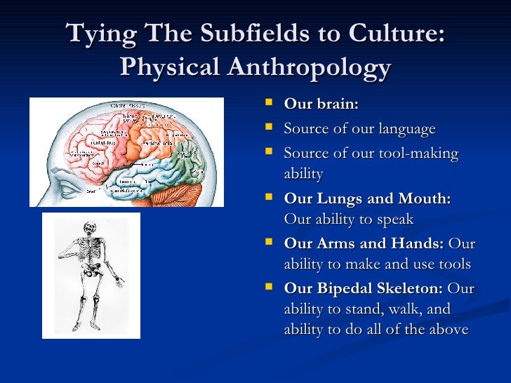 ebook notes on spiritual discourses of shri