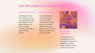 Introduction to Archaebacteria and its structure ppt.pptx