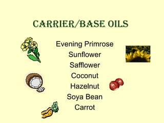 CARRIER/BASE OILS Evening Primrose Sunflower Safflower Coconut Hazelnut Soya Bean Carrot 