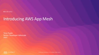© 2019, Amazon Web Services, Inc. or its affiliates. All rights reserved.S U M M I T
Introducing AWS App Mesh
Tony Pujals
Senior Developer Advocate
AWS
M A D 3 0 3
 