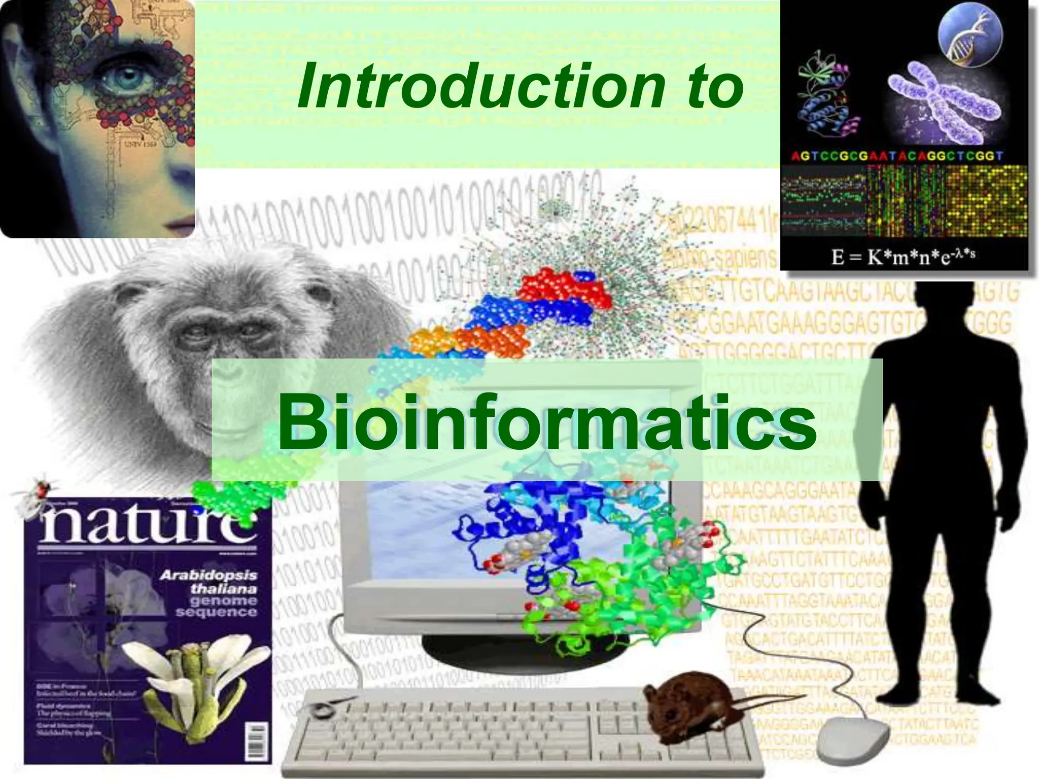 Bioinformatics for Computer Scientists.ppt