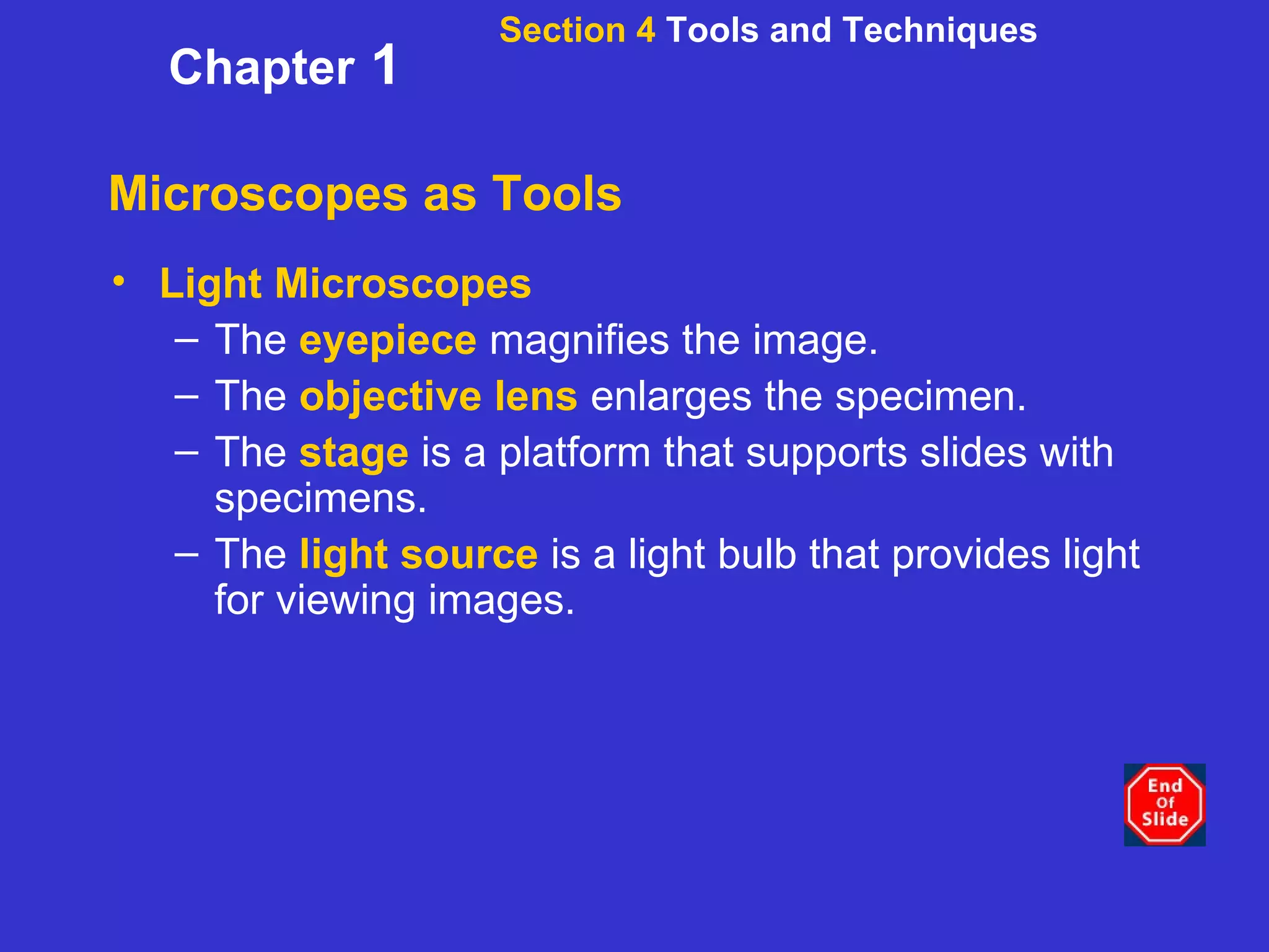 Microscopes as Tools Light Microscopes The  eyepiece  magnifies the image. The  objective lens  enlarges the specimen. The  stage  is a platform that supports slides with specimens. The  light source  is a light bulb that provides light for viewing images. Section 4  Tools and Techniques Chapter  1 