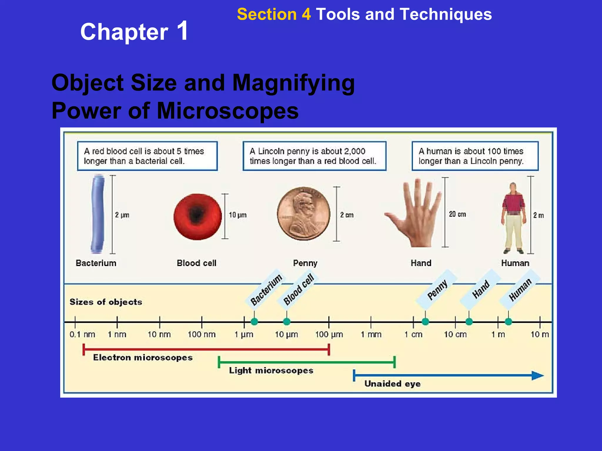 Object Size and Magnifying  Power of Microscopes Section 4  Tools and Techniques Chapter  1 