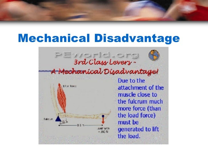 Introduction to Biomechanics