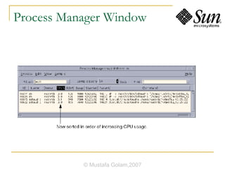 Process Manager Window © Mustafa Golam,2007 