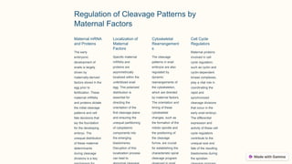 Regulation of Cleavage Patterns by
Maternal Factors
Maternal mRNA
and Proteins
The early
embryonic
development of
snails is largely
driven by
maternally-derived
factors stored in the
egg prior to
fertilization. These
maternal mRNAs
and proteins dictate
the initial cleavage
patterns and cell
fate decisions that
lay the foundation
for the developing
embryo. The
unequal distribution
of these maternal
determinants
during cleavage
divisions is a key
Localization of
Maternal
Factors
Specific maternal
mRNAs and
proteins are
asymmetrically
localized within the
unfertilized snail
egg. This polarized
distribution is
essential for
directing the
orientation of the
first cleavage plane
and ensuring the
unequal partitioning
of cytoplasmic
components into
the emerging
blastomeres.
Disruption of this
localization process
can lead to
Cytoskeletal
Rearrangement
s
The cleavage
patterns in snail
embryos are also
regulated by
dynamic
rearrangements of
the cytoskeleton,
which are directed
by maternal factors.
The orientation and
timing of these
cytoskeletal
changes, such as
the formation of the
mitotic spindle and
the positioning of
the cleavage
furrow, are crucial
for establishing the
characteristic spiral
cleavage program
Cell Cycle
Regulators
Maternal proteins
involved in cell
cycle regulation,
such as cyclin and
cyclin-dependent
kinase complexes,
play a vital role in
coordinating the
rapid and
synchronized
cleavage divisions
that occur in the
early snail embryo.
The differential
expression and
activity of these cell
cycle regulators
contribute to the
unequal size and
fate of the resulting
blastomeres during
the spiralian
 