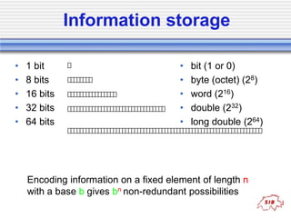 64 Bit Byte Introduction to computers | PPTX