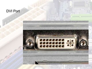 DVI Port
 
