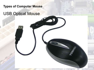 Types of Computer Mouse
USB Optical Mouse
 