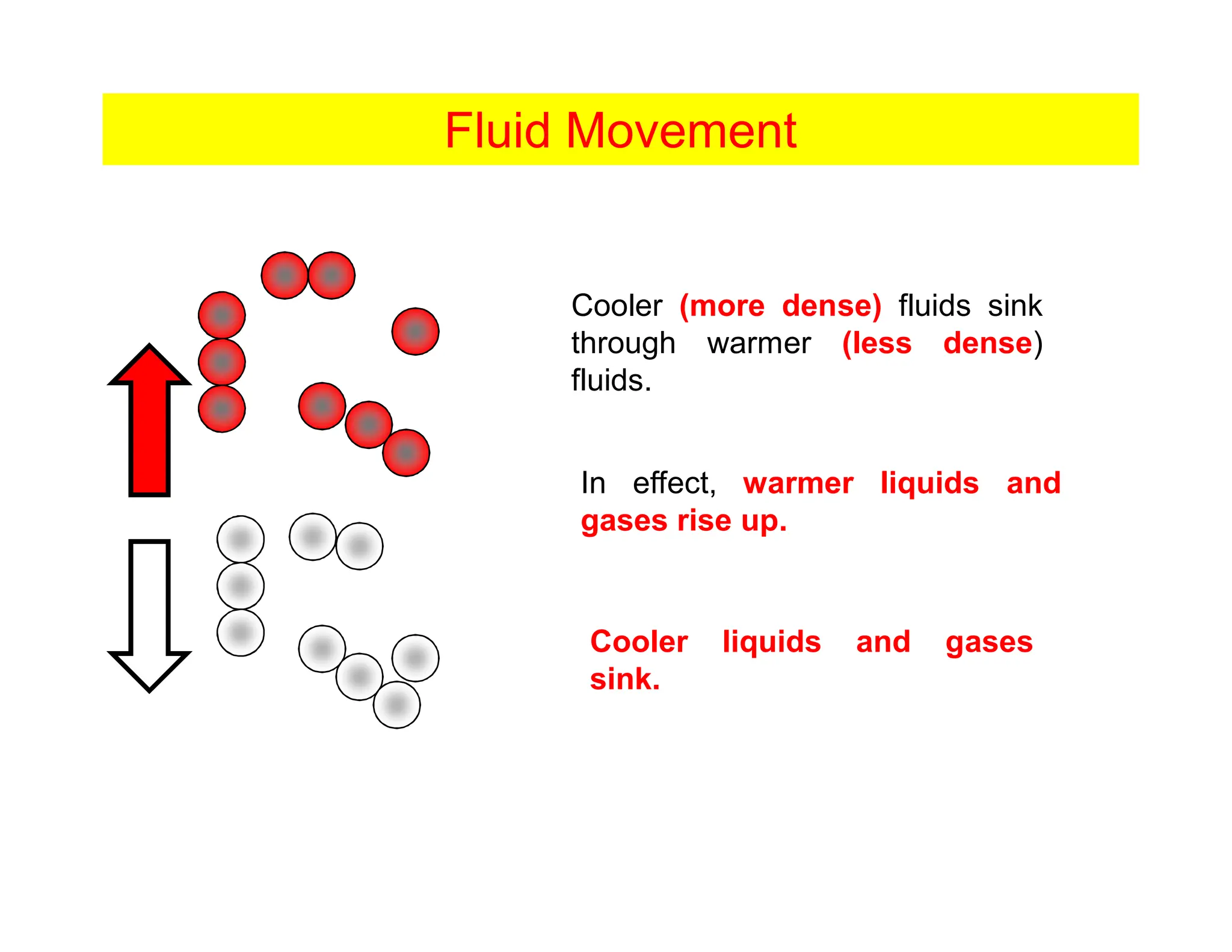 Cooler (more dense) fluids sink
through warmer (less dense)
fluids.
In effect, warmer liquids and
gases rise up.
Cooler liquids and gases
sink.
Fluid Movement
 