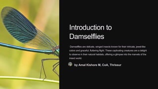 Introduction to
Damselflies
Damselflies are delicate, winged insects known for their intricate, jewel-like
colors and graceful, fluttering flight. These captivating creatures are a delight
to observe in their natural habitats, offering a glimpse into the marvels of the
insect world.
by Amal Kishore M, CoA, Thrissur
 