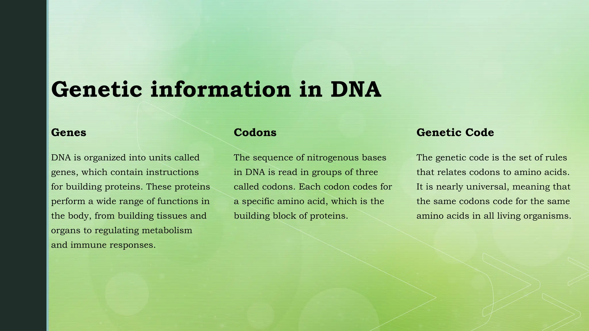 Genetic information in DNA
Genes
DNA is organized into units called
genes, which contain instructions
for building proteins. These proteins
perform a wide range of functions in
the body, from building tissues and
organs to regulating metabolism
and immune responses.
Codons
The sequence of nitrogenous bases
in DNA is read in groups of three
called codons. Each codon codes for
a specific amino acid, which is the
building block of proteins.
Genetic Code
The genetic code is the set of rules
that relates codons to amino acids.
It is nearly universal, meaning that
the same codons code for the same
amino acids in all living organisms.
 