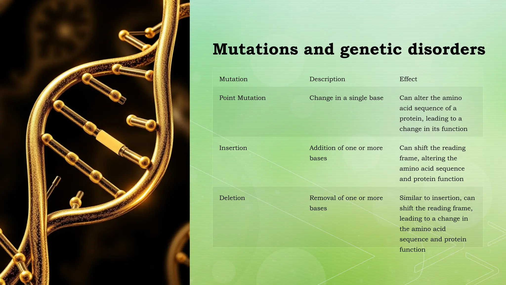 Mutations and genetic disorders
Mutation Description Effect
Point Mutation Change in a single base Can alter the amino
acid sequence of a
protein, leading to a
change in its function
Insertion Addition of one or more
bases
Can shift the reading
frame, altering the
amino acid sequence
and protein function
Deletion Removal of one or more
bases
Similar to insertion, can
shift the reading frame,
leading to a change in
the amino acid
sequence and protein
function
 