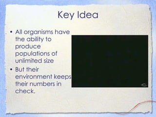 Key Idea All organisms have the ability to produce populations of unlimited size But their environment keeps their numbers in check. 