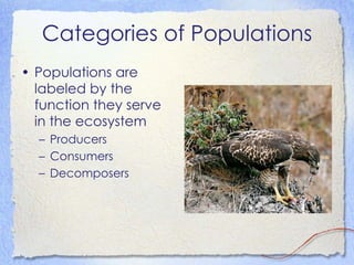 Categories of Populations Populations are labeled by the function they serve in the ecosystem  Producers Consumers Decomposers 