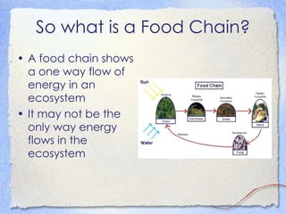 So what is a Food Chain? A food chain shows a one way flow of energy in an ecosystem It may not be the only way energy flows in the ecosystem 