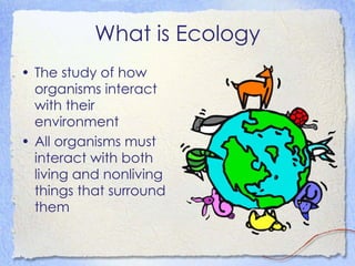 What is Ecology The study of how organisms interact with their environment All organisms must interact with both living and nonliving things that surround them 