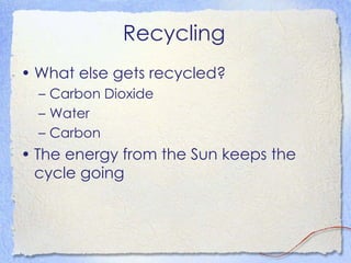 Recycling What else gets recycled? Carbon Dioxide Water Carbon The energy from the Sun keeps the cycle going 