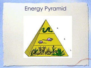 Energy Pyramid 