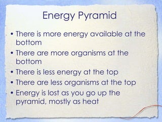 Energy Pyramid  There is more energy available at the bottom There are more organisms at the bottom There is less energy at the top There are less organisms at the top Energy is lost as you go up the pyramid, mostly as heat 
