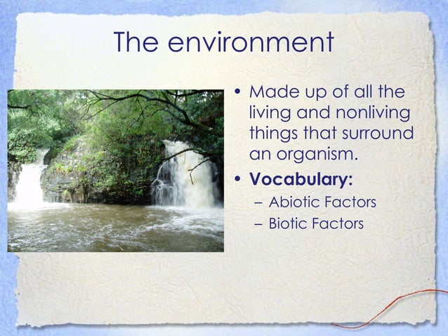 Introduction To Ecology | PPT